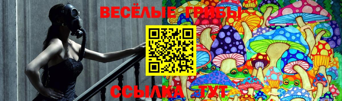 Псилоцибиновые грибы GOLDEN TEACHER  где найти   Шелехов  Вход с VPN 